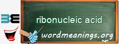 WordMeaning blackboard for ribonucleic acid